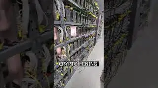 The Most Profitable Business In Dubai? Crypto Mining!🤑