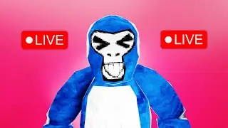Gorilla tag live prop hunt
