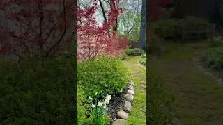 Spring walk after the storm #garden #spring
