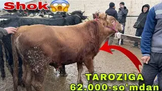 SIRDAYO 1-safxo’z CHORVA BOZORI SHOK😱 bu VIDYONI ANIQ KO’RING