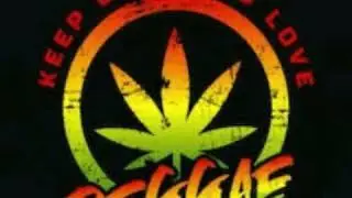 Reggae pra relaxar sua mente