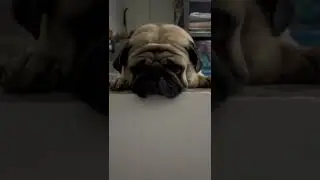 Fed up of life