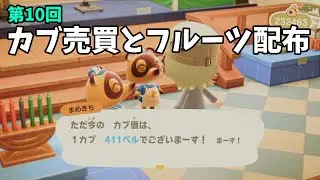 【あつ森】カブ価411ベルとフルーツ配布！初心者歓迎