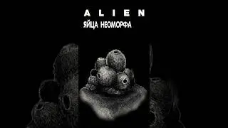 Alien - Neomorph Egg   #alien #aliens #alienisolation #aliendarkdescent  #чужой #alienromulus