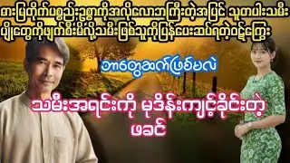 သမီး​ကြောင့်ကျတဲ့မျက်ရည်(စဆုံး)#PHYO#ဖြိုး#ဘဝ