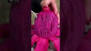 Reddit&rsquo;s Epic Fails (Part 23) #redditoutloud #redditstories #reddit