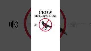 Crow Repellent Sound | Hawk sound and Ultrasonic Waves  (Test Clip &ndash; 20s)