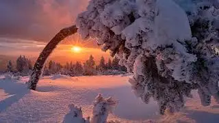 Magical Winter Time