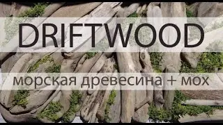 DRIFTWOOD панно | Сплавная древесина + стабилизированный мох ягель | Seawood