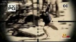 Sniper Inside The Crosshairs DCMTeam