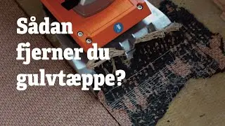 Fjerne t&aelig;ppe - s&aring;dan fjerner du et t&aelig;ppe | RentSetGo