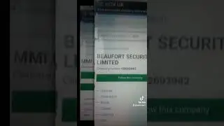 swift incorporate Ltd 788-790 FINCHLEY road Barbara kahan company house frauds UK.