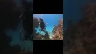Rolling in the Deep: A Hilarious Underwater Wheelchair Adventure 😂