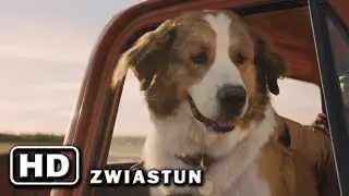 BYŁ SOBIE PIES 2 - zwiastun PL (premiera: 4 października 2019)