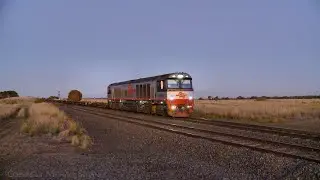 SCT 7787V Empty Container Wagon Transfer To Dooen (28/5/2024) - PoathTV Australian Trains