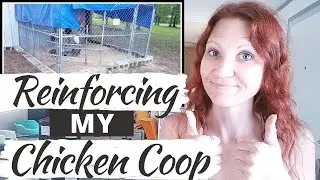 REINFORCING MY CHICKEN COOP: Homestead Predator Proofing The Coop!