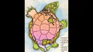 Turtle Island