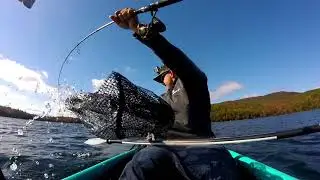 8lb Lake Trout