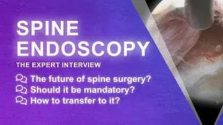 The Endoscopic Spine Surgery Interview - Prof Hayati Ayg&uuml;n interviewed by Prof Max Aebi