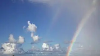 Alexey Musatov - RAINBOW 🌈  (Kacey Musgraves Cover)