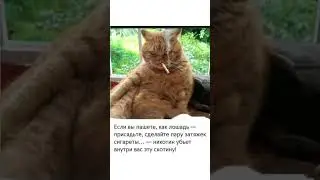 #бабки #смех #анекдот #доктор #мужжена #funny #fun #memes #funnyvideo #funnyshorts #lustigesVideo