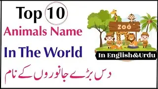 Top 10 Animal Names In The World||Animals Name In English&Urdu||@nameinfo44