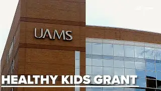 UAMS receives $3 million to improve healthy child feeding habits