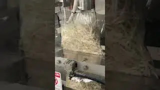 Bean sprout packaging machine