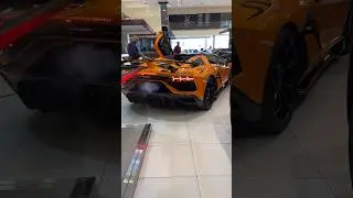 Lamborghini Aventador SVJ Cold Start 🔥