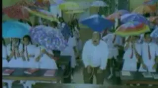 Popy Umbrella