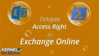 How to Delegate Access Rights for Exchange Online (Office 365) Migration