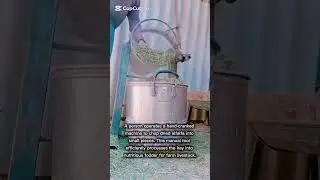 Cutter to Prepare Animal Feed