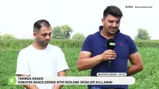 DOMATES VE KAPYA BİBERDE BİTKİ BESLEME ÜRÜNLERİ KULLANIMI | TARIMDA BAŞARI | BURSA/MUSTAFAKEMALPAŞA
