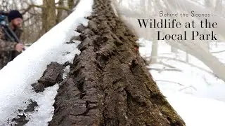 Wildlife Photography at the Local Park - Behind the Scenes