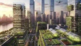 The Green Shoots of a Megacity: An Analysis of Urban Agriculture in Ho Chi Minh City