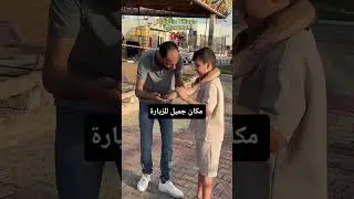 Dolphin Show in Dammam | Best and Most Fun Place for Kids & Families in Saudi Arabia #trending viral
