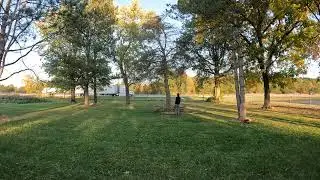 Toro 60V Flex Force Chainsaw and Polesaw Take Down a Tree