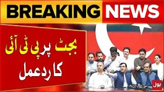 PTI Reaction on Budget 2025-26 | PTI vs Govt | Breaking News