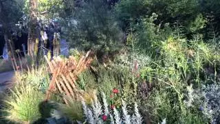 An beginners video of the Sentebale Garden designed by Matt Keightley for Prince Harry at Chelsea