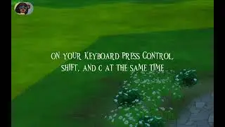 quick and easy way to get money fast! (Sims 4)