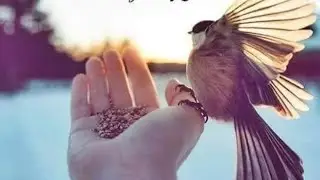 ZEKASINA GÜVENENLER  EKRAN BAŞINA ☺️