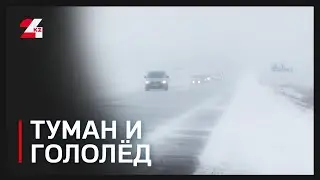 Weather forecast for December 28: fog and ice
