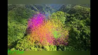 Anse La Raye || River - The Mountains 