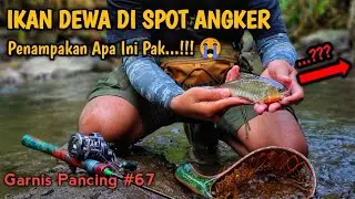 NGERI.!!😭 Lagi Asik Mancing Malah Ada Penampakan |Casting Mahseer & Limbata Jogja |Garnis Pancing#67