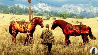 I Found Two Fire Horses in the Dry Grasslands | Lava Stone & Ignivar