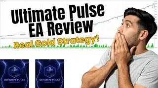 Ultimate Pulse Pro EA Review - Real Gold Strategy!