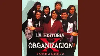 Borrachito