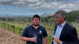Constantia Glen Five 2016