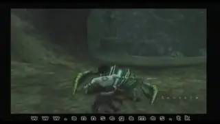 Primal 38 *Aquis*