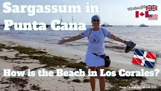 Sargassum Season in Punta Cana. How is the Los Corales  Beach 2025